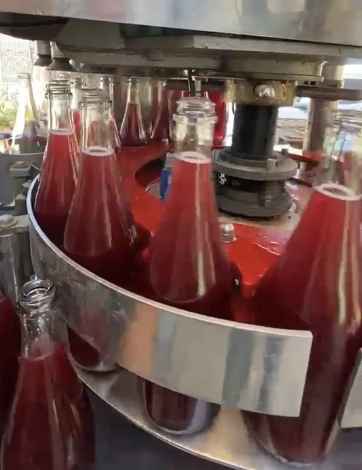 Vin-Q Brut Nature Rosé - El Celestial Ouroboros vineyard and cellar context